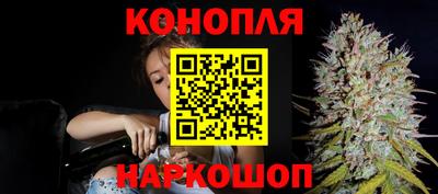 стаф Новозыбков