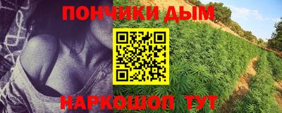 стаф Новозыбков