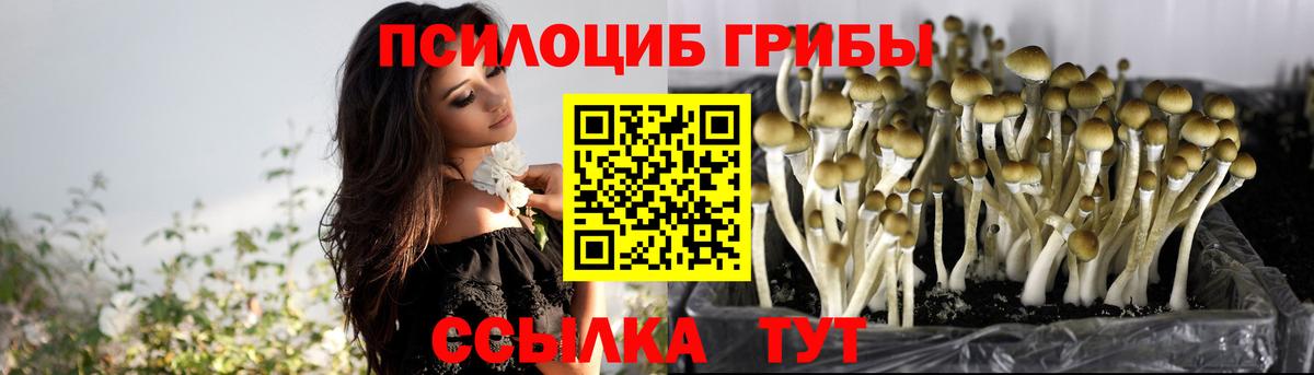 Галлюциногенные грибы мицелий  Вход с VPN  Советск 